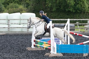 Class 3 -  Fences not above 2'3